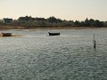 2010 Ile d'Arz (4)